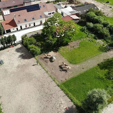 Holiday home Hoeve Korenzegen. Oase Rust Dichtbij