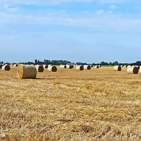 Hoeve Korenzegen. Oase Rust Dichtbij Holiday home De Haan
